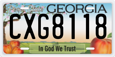 GA license plate CXG8118