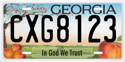 GA license plate CXG8123