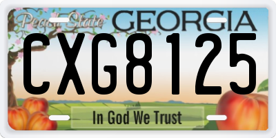 GA license plate CXG8125