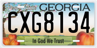 GA license plate CXG8134