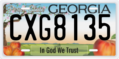 GA license plate CXG8135