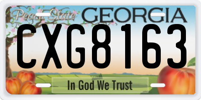 GA license plate CXG8163