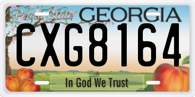 GA license plate CXG8164