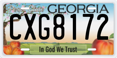 GA license plate CXG8172