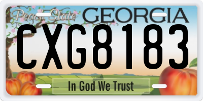 GA license plate CXG8183
