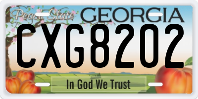 GA license plate CXG8202