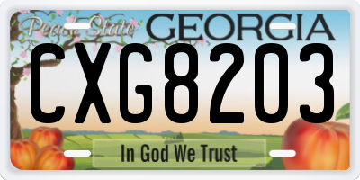 GA license plate CXG8203