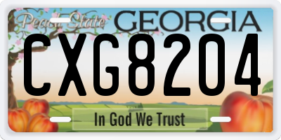 GA license plate CXG8204