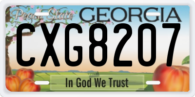 GA license plate CXG8207