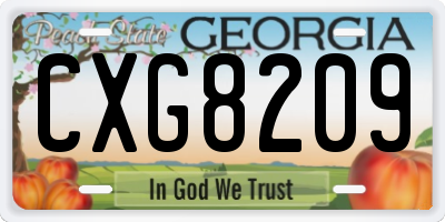 GA license plate CXG8209