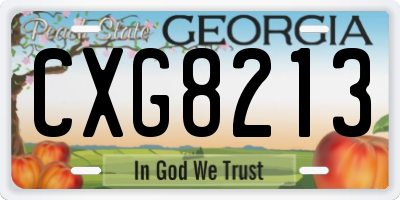 GA license plate CXG8213