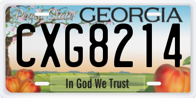 GA license plate CXG8214