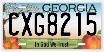 GA license plate CXG8215