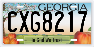 GA license plate CXG8217