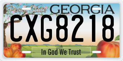 GA license plate CXG8218