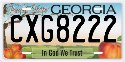 GA license plate CXG8222