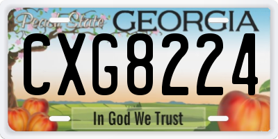 GA license plate CXG8224