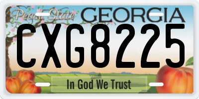 GA license plate CXG8225