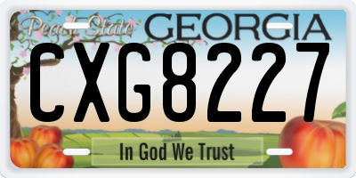 GA license plate CXG8227