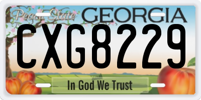 GA license plate CXG8229