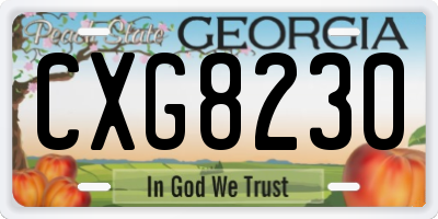 GA license plate CXG8230