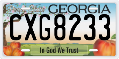 GA license plate CXG8233