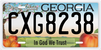 GA license plate CXG8238