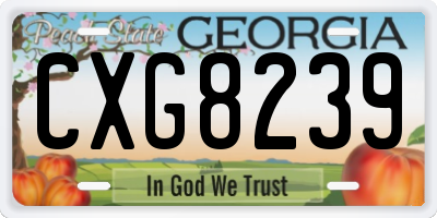 GA license plate CXG8239