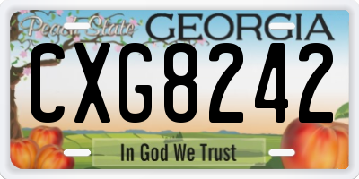 GA license plate CXG8242