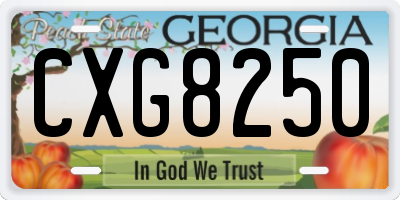 GA license plate CXG8250