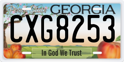 GA license plate CXG8253