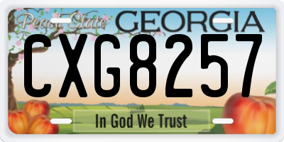GA license plate CXG8257