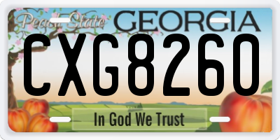 GA license plate CXG8260