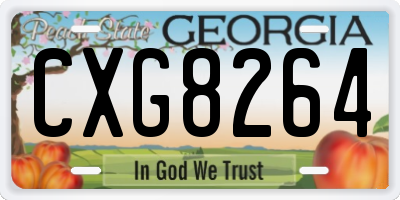 GA license plate CXG8264