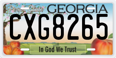 GA license plate CXG8265
