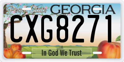 GA license plate CXG8271
