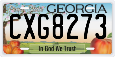GA license plate CXG8273