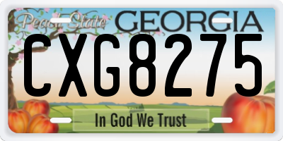 GA license plate CXG8275