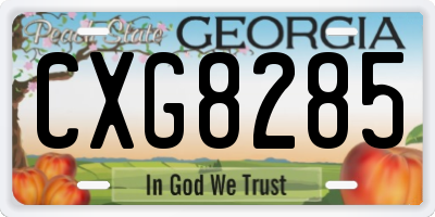 GA license plate CXG8285