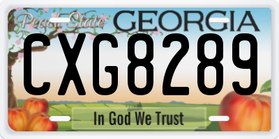 GA license plate CXG8289