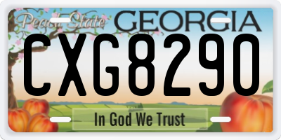 GA license plate CXG8290