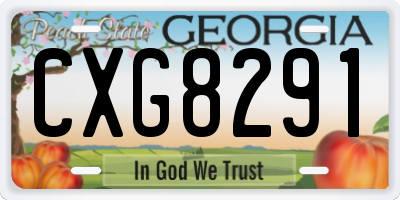 GA license plate CXG8291