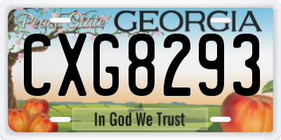 GA license plate CXG8293