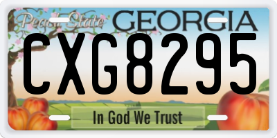 GA license plate CXG8295