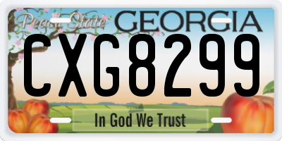 GA license plate CXG8299
