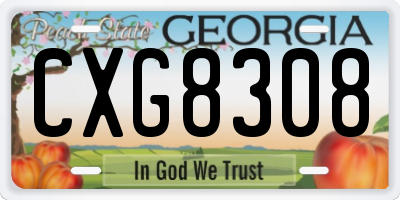 GA license plate CXG8308