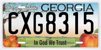 GA license plate CXG8315