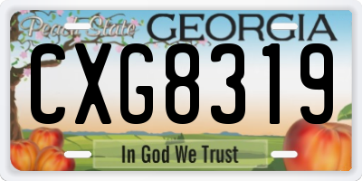 GA license plate CXG8319