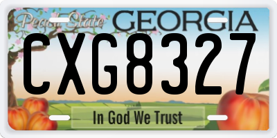 GA license plate CXG8327
