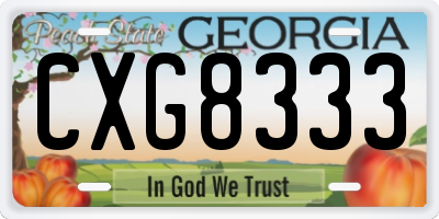 GA license plate CXG8333